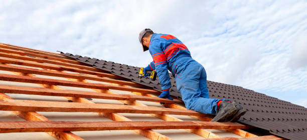 Best Roof Coating and Sealing  in Elkins, AR