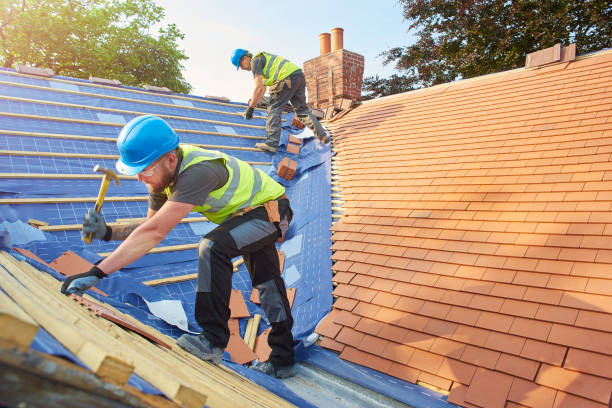 Best Skylight Installation and Repair  in Elkins, AR